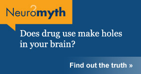 Neuromyth: drug use makes holes in your brain.